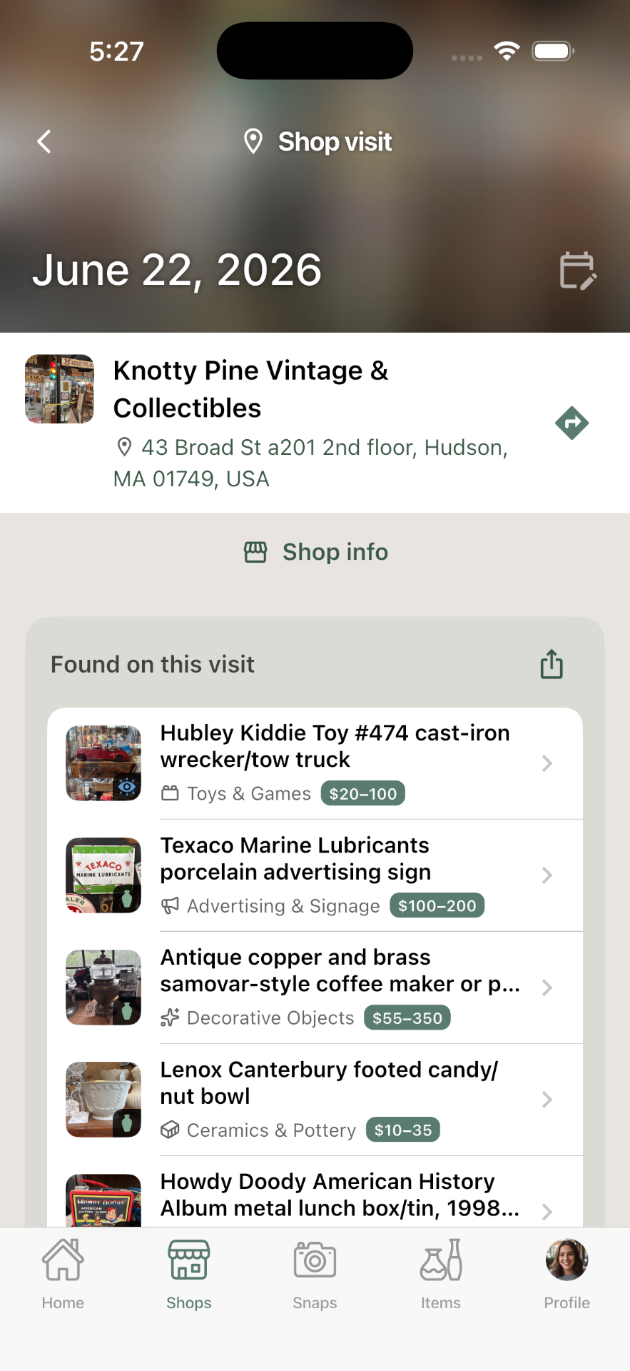 Trésora Shop visit screen — Knotty Pine Vintage & Collectibles with a list of items found on this visit