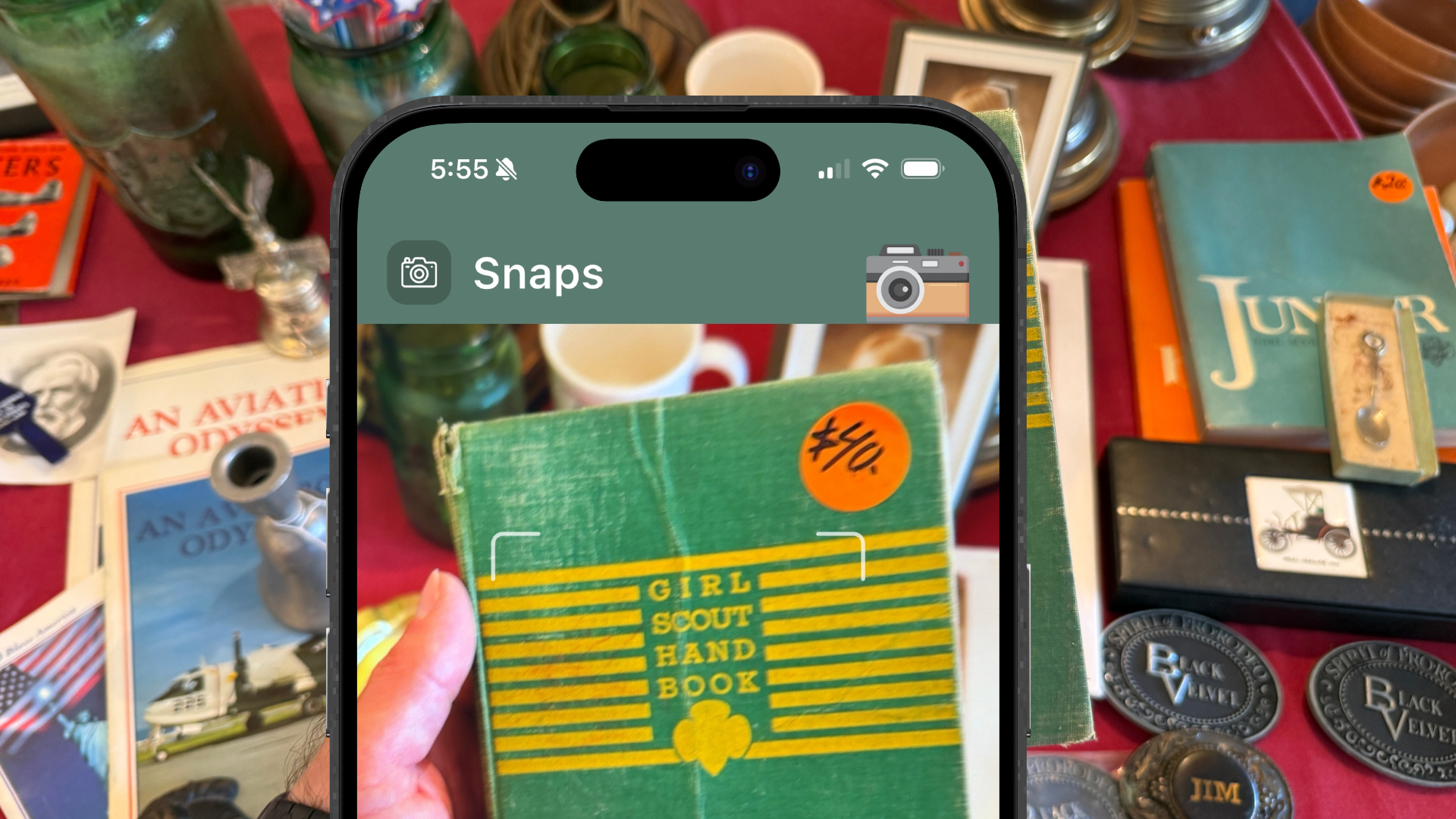 Trésora's Snaps view open on an iPhone held above a flea market table of antique books and objects